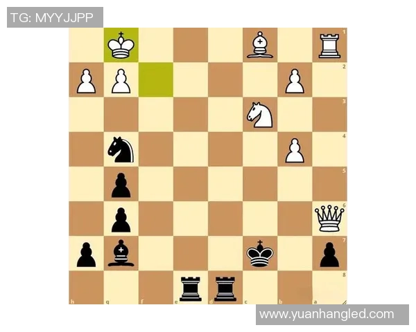 深入解析杭州乒乓球队战术表现的数据分析与策略优化研究